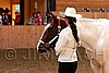 PAS06_0389.jpg