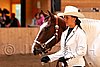 PAS06_0390.jpg