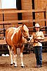 PAS06_0391.jpg