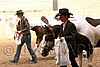 PAS06_0400.jpg