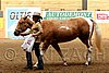 PAS06_0402.jpg