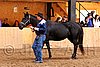 PAS06_0403.jpg