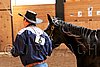 PAS06_0404.jpg