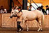 PAS06_0405.jpg