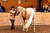 PAS06_0406.jpg