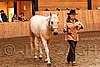 PAS06_0407.jpg