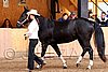 PAS06_0411.jpg