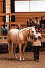 PAS06_0414.jpg