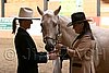 PAS06_0419.jpg