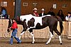 PAS06_0427.jpg