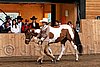 PAS06_0436.jpg