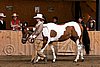 PAS06_0438.jpg