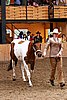 PAS06_0439.jpg