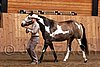PAS06_0443.jpg