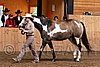 PAS06_0444.jpg