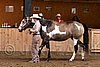 PAS06_0445.jpg