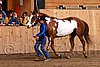 PAS06_0450.jpg