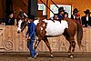 PAS06_0451.jpg