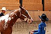 PAS06_0454.jpg
