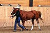 PAS06_0456.jpg