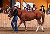 PAS06_0457.jpg