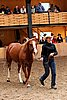 PAS06_0458.jpg
