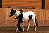 PAS06_0460.jpg
