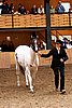 PAS06_0462.jpg