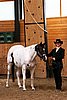 PAS06_0470.jpg