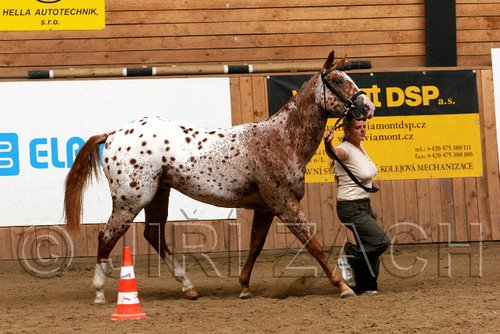 PAS06_0510.jpg