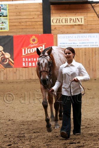 PAS06_0533.jpg