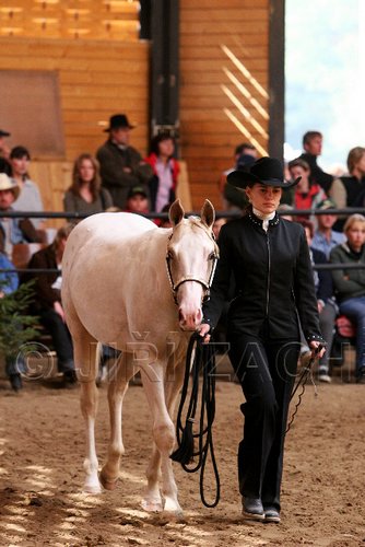 PAS06_0540.jpg