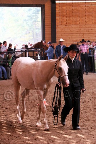 PAS06_0541.jpg