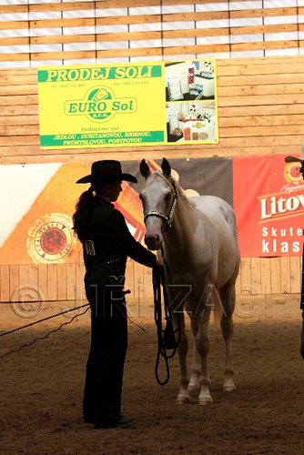 PAS06_0543.jpg