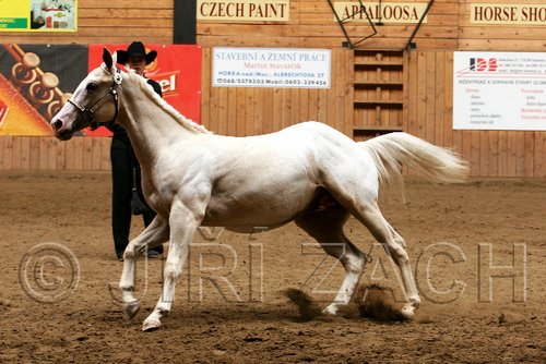 PAS06_0551.jpg