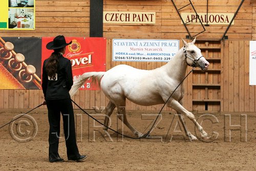 PAS06_0552.jpg
