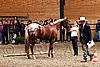PAS06_0499.jpg