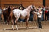 PAS06_0504.jpg