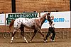 PAS06_0509.jpg