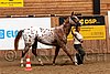 PAS06_0510.jpg