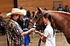 PAS06_0515.jpg
