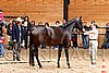 PAS06_0518.jpg