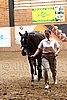 PAS06_0520.jpg