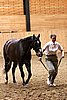 PAS06_0523.jpg