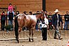 PAS06_0530.jpg