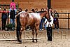 PAS06_0531.jpg