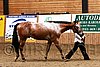 PAS06_0532.jpg