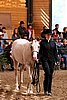 PAS06_0540.jpg