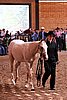 PAS06_0541.jpg