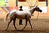 PAS06_0545.jpg